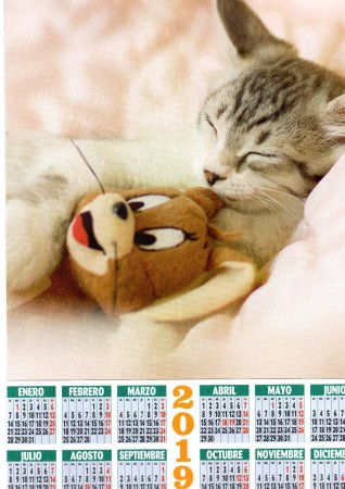 CALENDARIO DE GATO CON PELUCHE